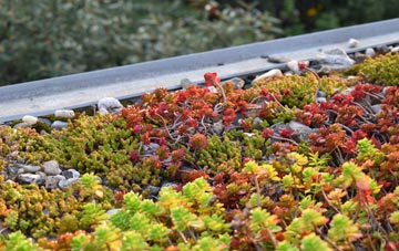 the cost of Ashperton green roof installation