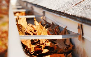 Ashperton gutter cleaning companies
