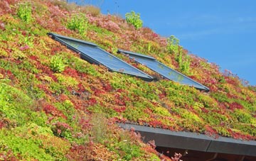 Ashperton living roof systems