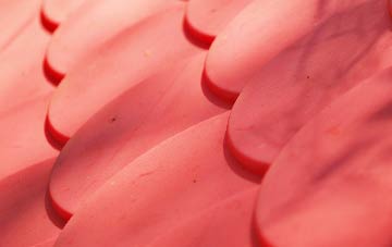 Ashperton plastic roof costs