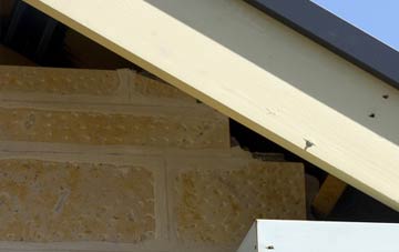 soffit repair Ashperton