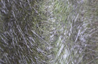 Ashperton fibreglass roof work